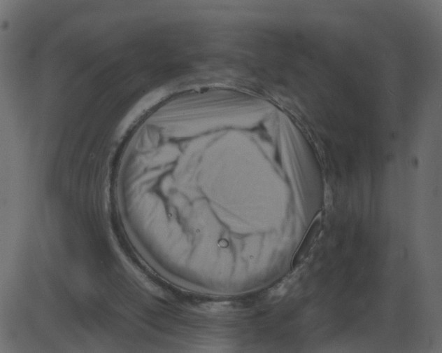 X0000087400054200705181342