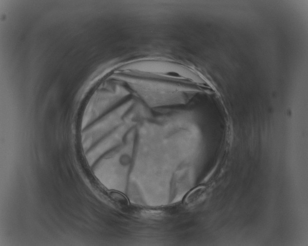 X0000087400055200705181342