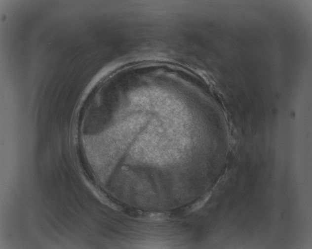 X0000087400056200705181343