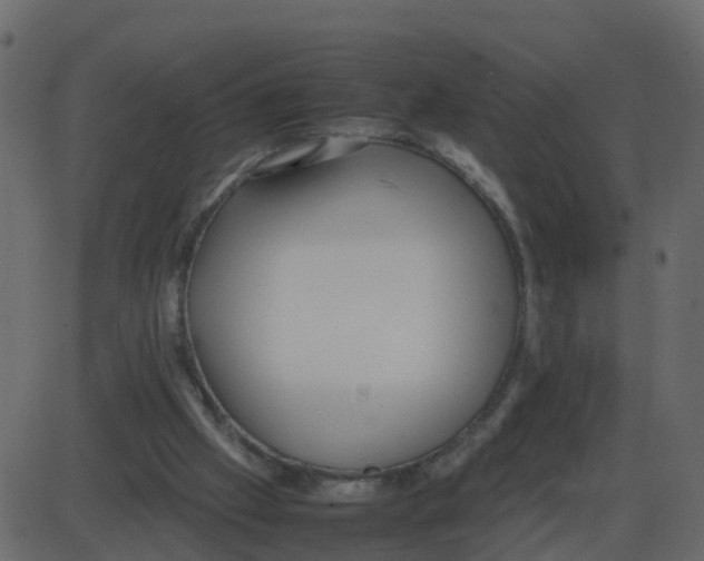 X0000087400057200705181343