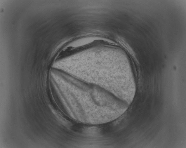 X0000087400058200705181343