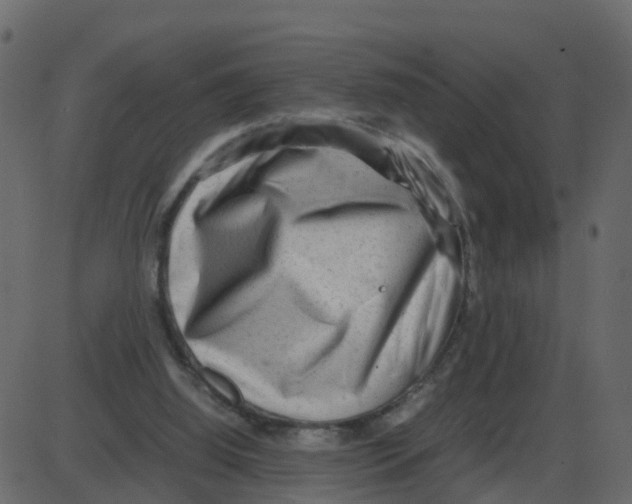 X0000087400060200705181343