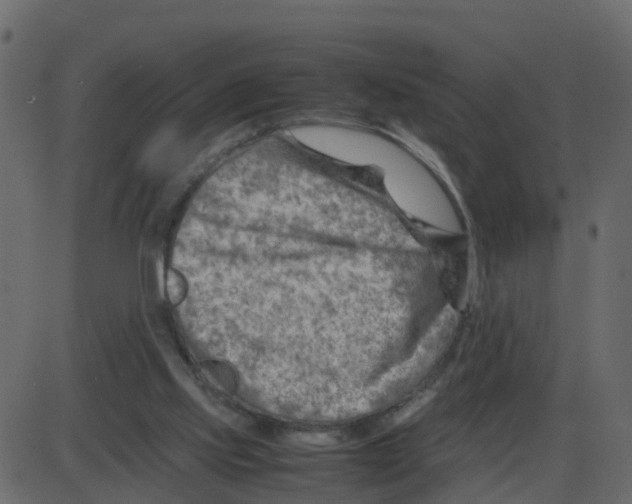 X0000087400061200705181343