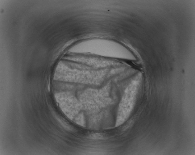 X0000087400062200705181343