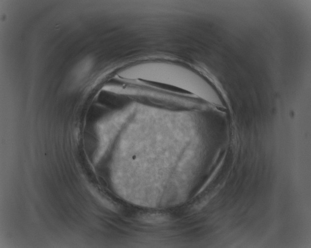 X0000087400063200705181343