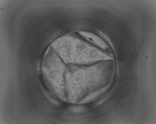 X0000087400065200705181343