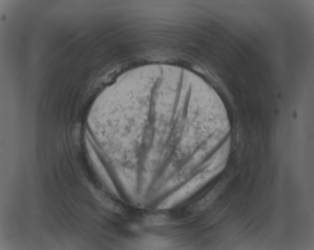 X0000087400066200705181343