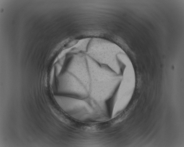 X0000087400068200705181343