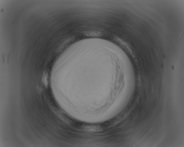 X0000087400069200705181343