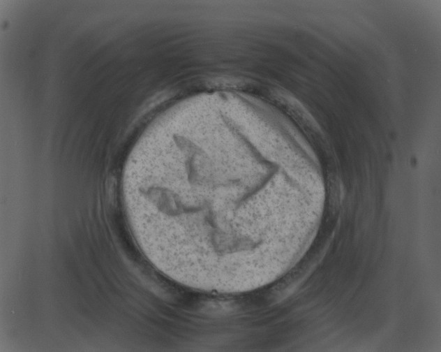 X0000087400071200705181343