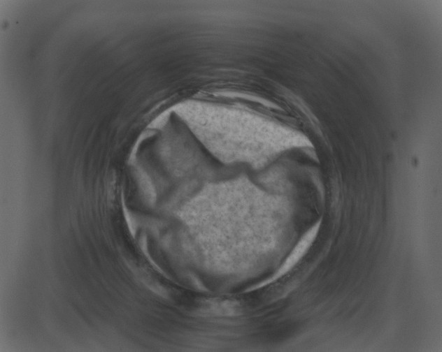 X0000087400073200705181343