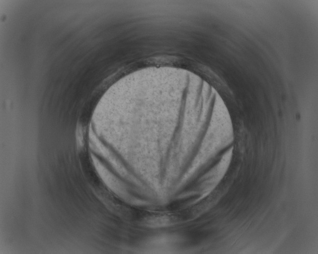 X0000087400075200705181343