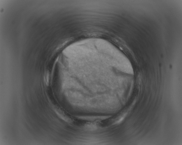 X0000087400076200705181343