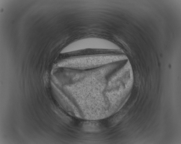 X0000087400077200705181343