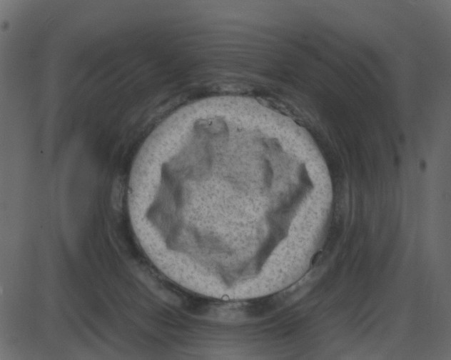 X0000087400078200705181343