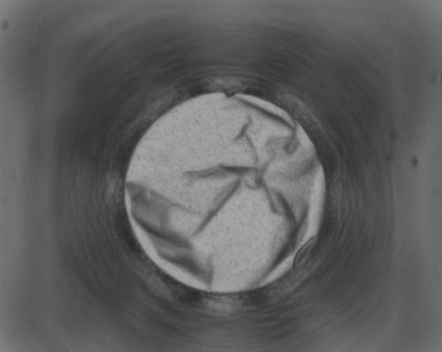 X0000087400079200705181343