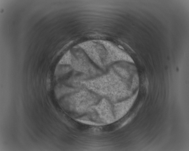 X0000087400080200705181343