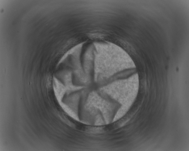 X0000087400081200705181343