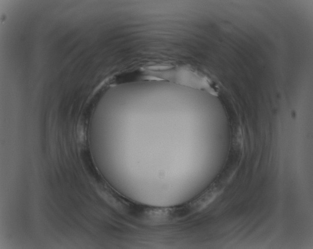 X0000087400084200705181343