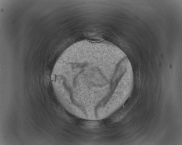 X0000087400085200705181343