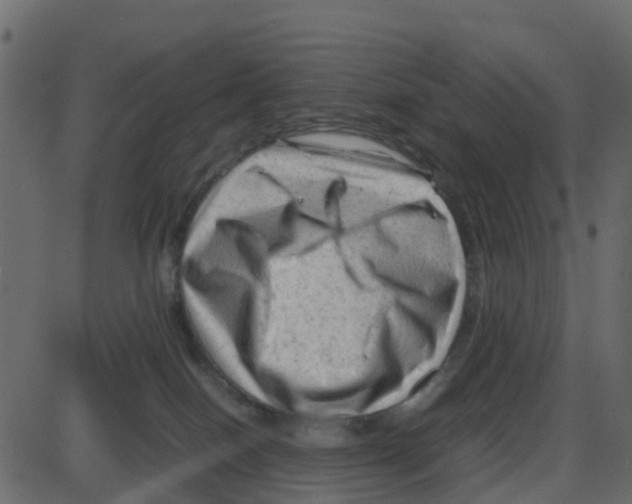 X0000087400086200705181343