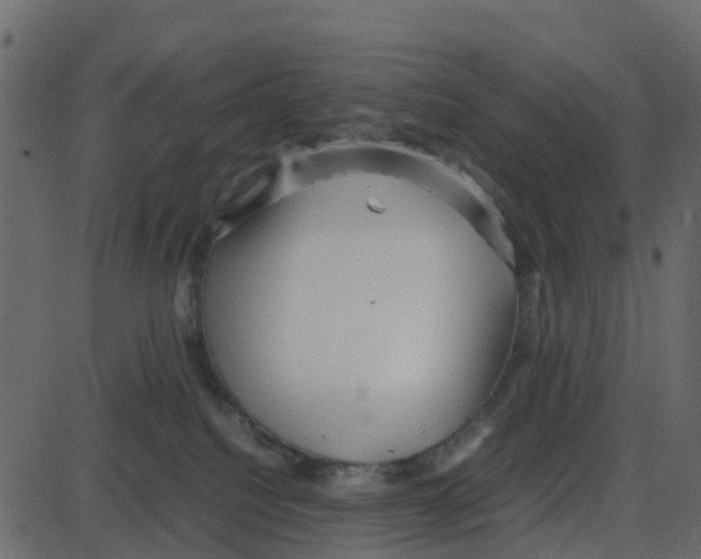 X0000087400088200705181343