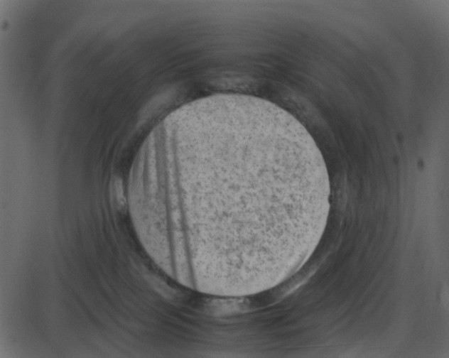 X0000087400089200705181343