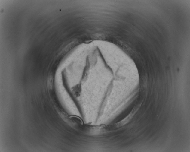 X0000087400090200705181343