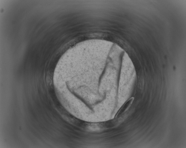 X0000087400091200705181343