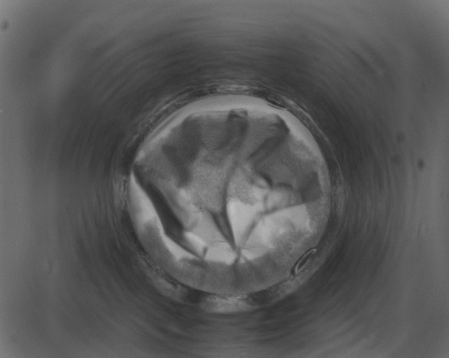 X0000087400093200705181343