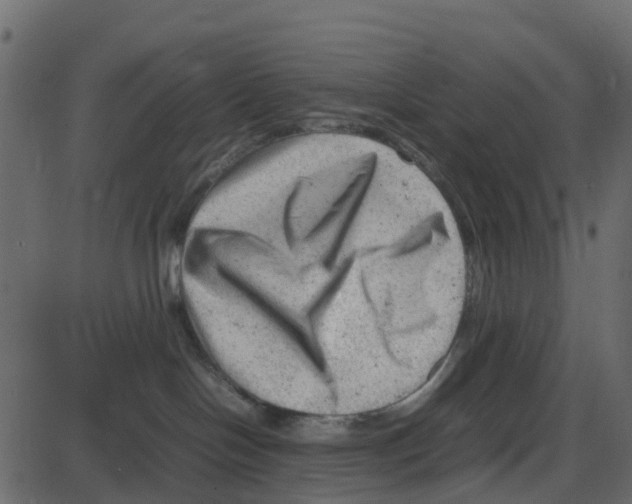 X0000087400094200705181343