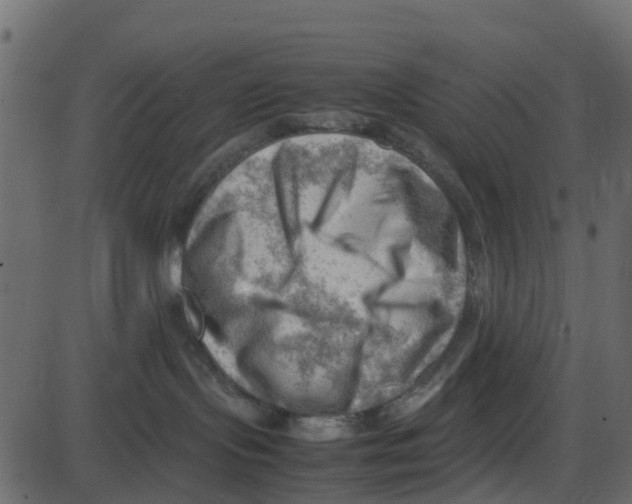 X0000087400095200705181343