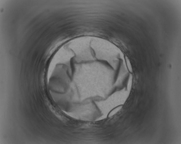 X0000087400098200705181342