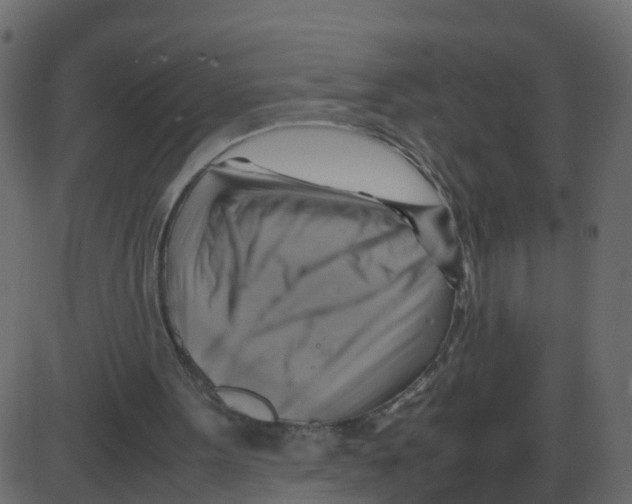 X0000087400099200705181342