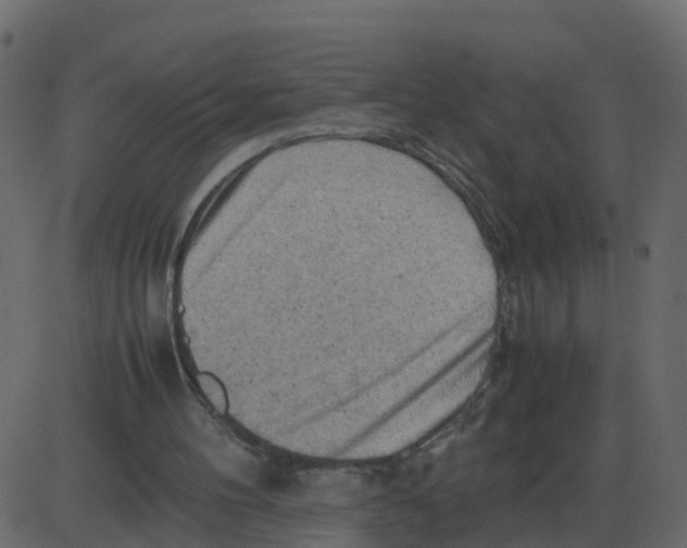 X0000087400100200705181342