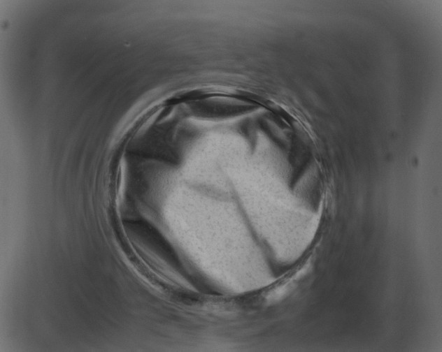 X0000087400101200705181342