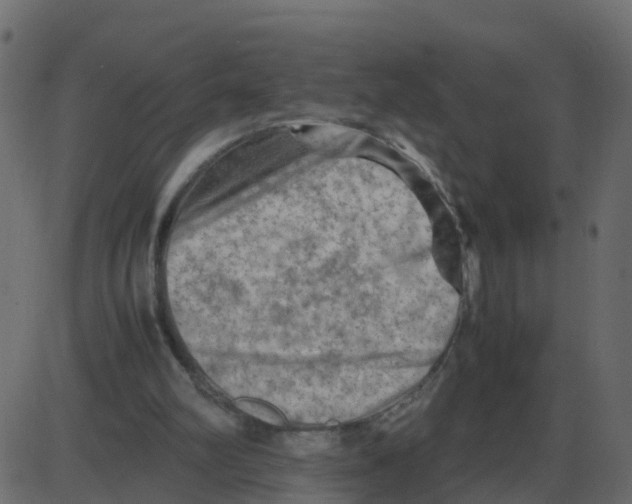 X0000087400102200705181342