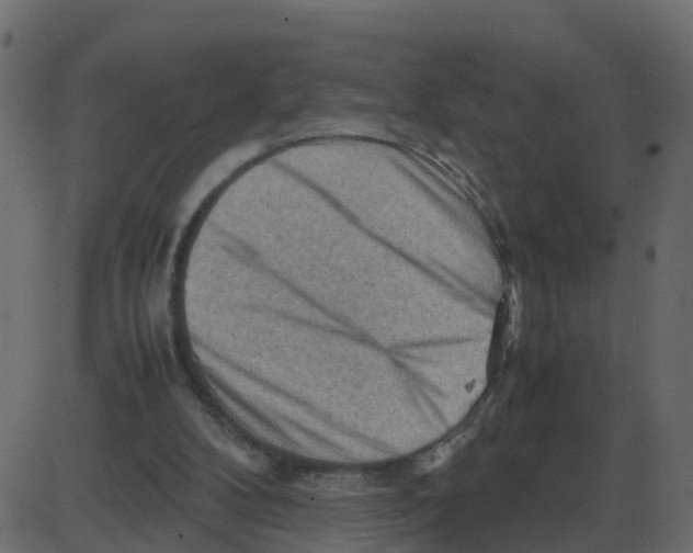 X0000087400104200705181342