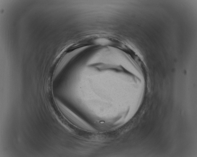 X0000087400105200705181342