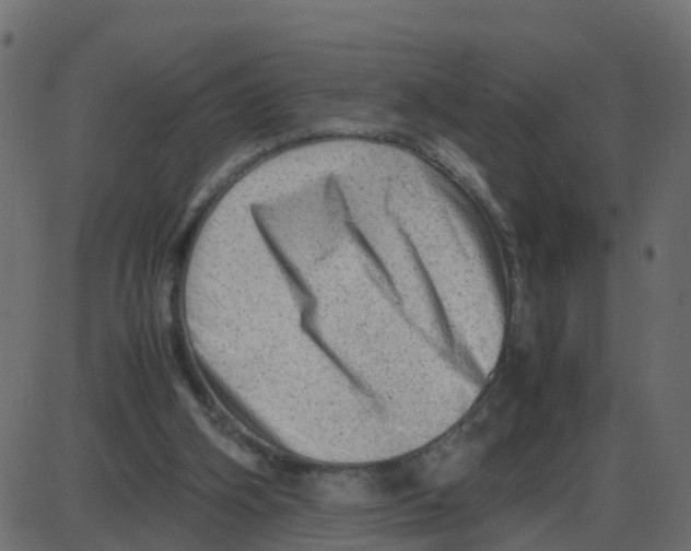 X0000087400106200705181342