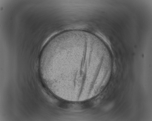 X0000087400107200705181342