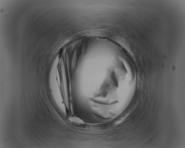 X0000087400109200705181342