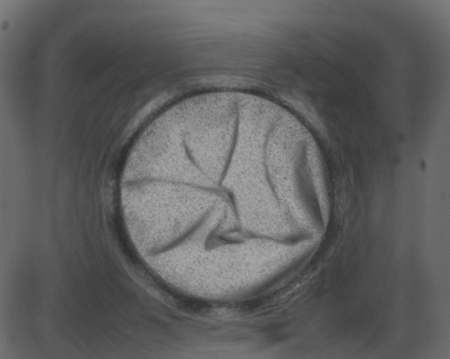 X0000087400111200705181342