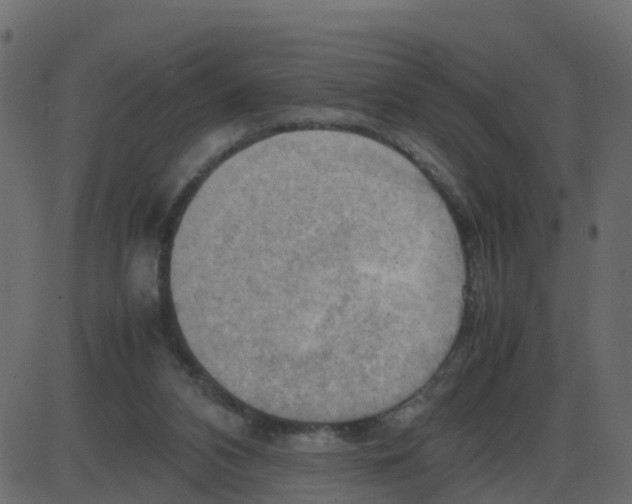 X0000087400112200705181342