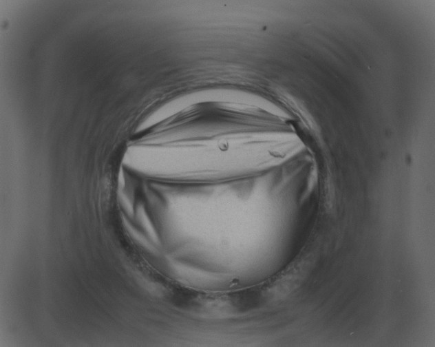 X0000087400113200705181342