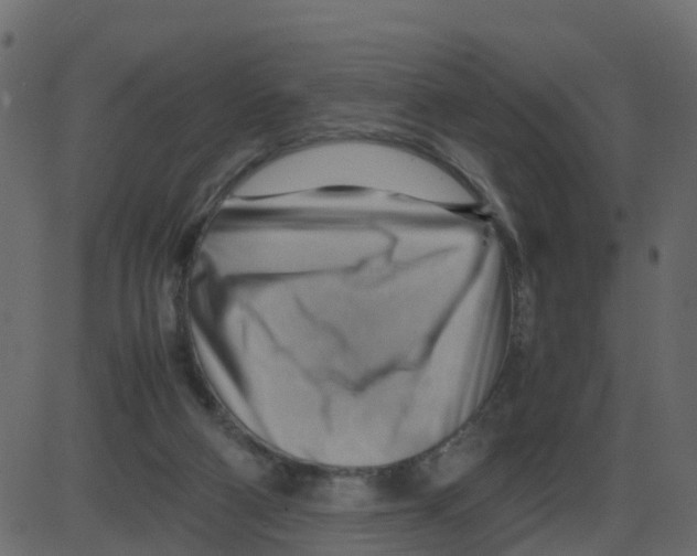 X0000087400114200705181342