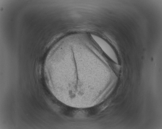 X0000087400115200705181342