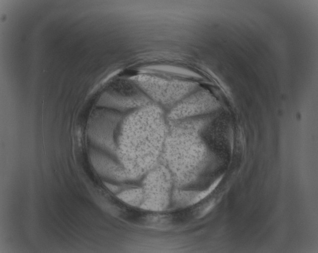 X0000087400117200705181342