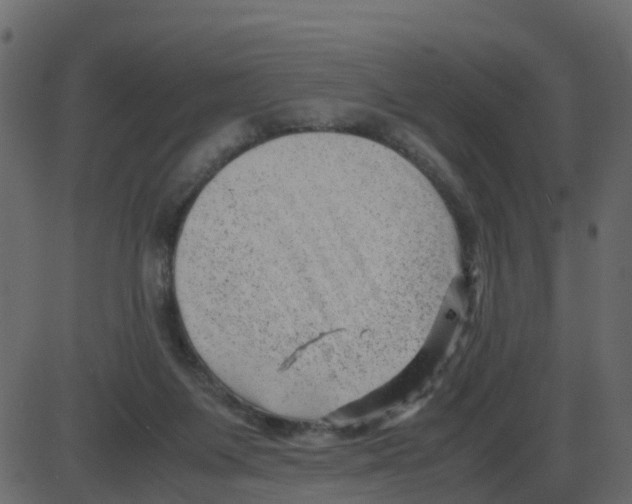 X0000087400119200705181342