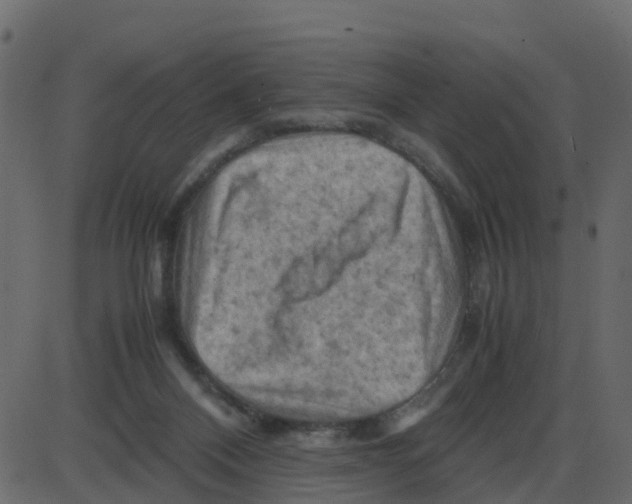 X0000087400120200705181342